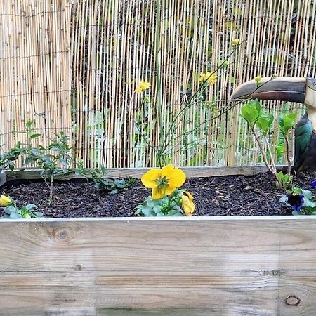 Charmant T2 Avec Jardin Proche Gare Rennes Kültér fotó